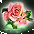 item_真愛捧花[結]