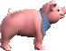 ลูกหมู