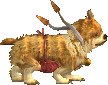 สุนัขนำโชค